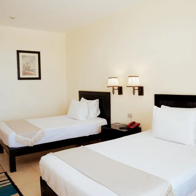 غرفة سوبيريور بسرير كينج، Blend Elphistone Resort Marsa Alam 1/4