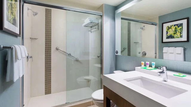 غرفة بسرير كينج مع أريكة، Hyatt Place St Petersburg/Downtown 1/1