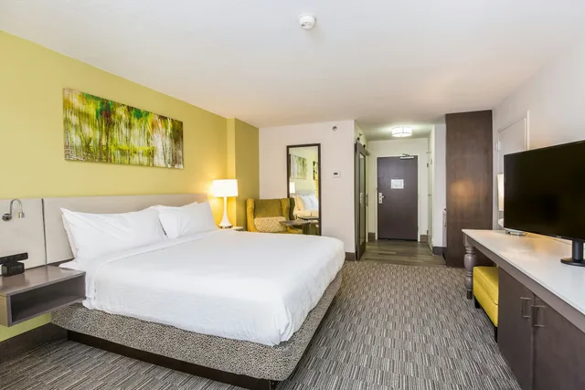 Room, King Bed, Partial View، Hilton Garden Orange Beach 1/2