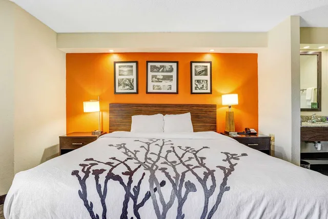 غرفة بسرير كينج لذوي الإعاقة، Wingate by Wyndham Leesburg Florida 2/5