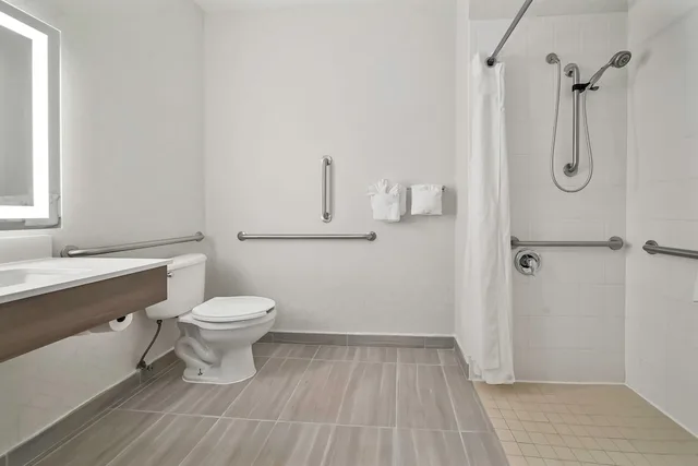 غرفة قياسية بسرير كينج لذوي الإعاقة، Holiday Inn Express Palestine 8/9