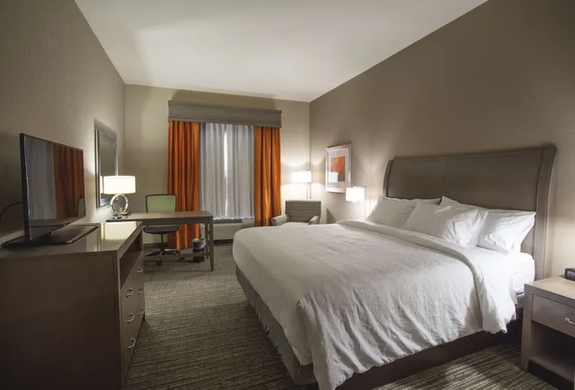 غرفة بسرير كينج بحوض جاكوزي لذوي الإعاقة، Hilton Garden Inn Bolingbrook I-55 1/6