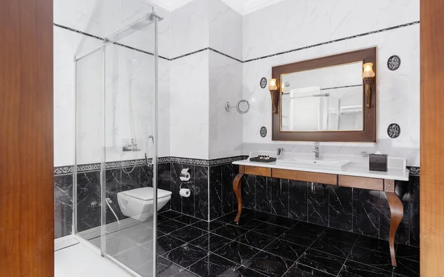 جناح بريميوم بسرير كينج بغرفة نوم واحدة، Shamakhi Palace Sharadil Hotel 4/5