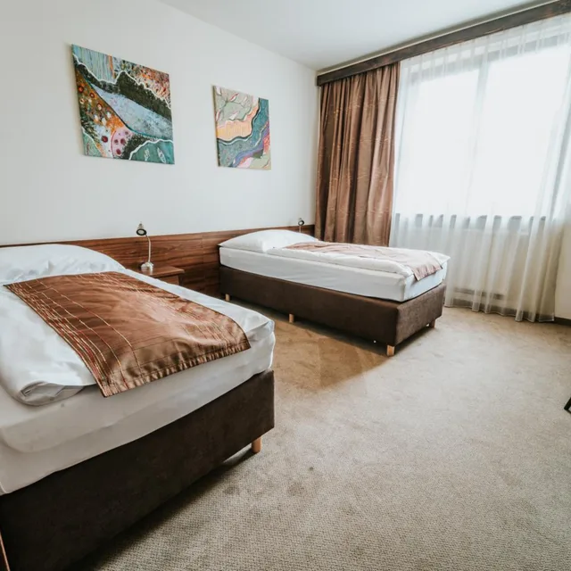 Standard, Double or Twin Bed, Penzión Drak 1/10