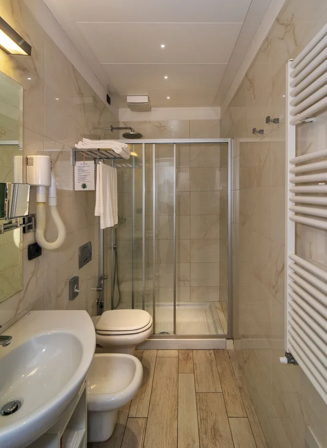 غرفة كلاسيكية بسرير كوين، Hotel Central Park 5/6