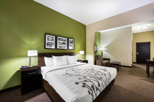 Suite, King Bed, Sofa, Sleep Inn & Suites Valdosta Mall Area 4/6