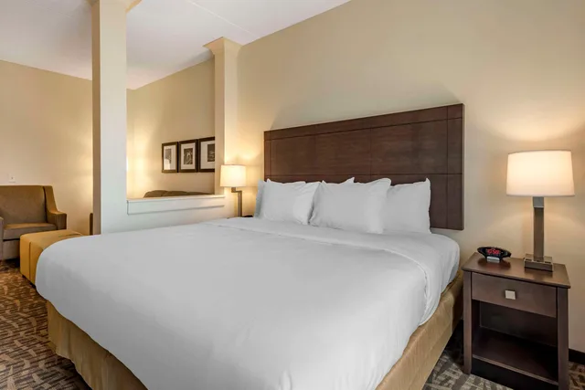 جناح بسرير كينج لذوي الإعاقة، Comfort Inn and Suites Pittsburgh Northshore, PA 2/3