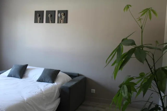 جناح ديلوكس، Hotel Le Quincangrogne 1/3