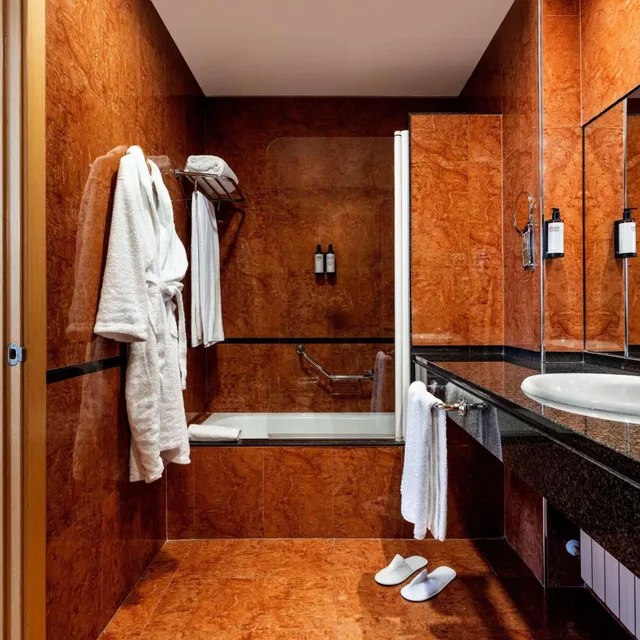 غرفة بريميوم بسرير كينج، Hotel Zentral Leon 5/5
