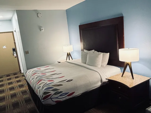Room, King Bed, Trident Inn and Suites 9/10