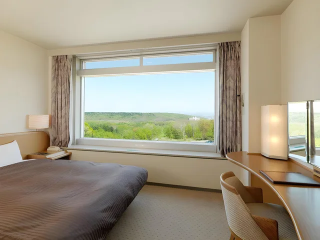 غرفة قياسية مفردة بسرير مزدوج، Sapporo Kitahiroshima Classe Hotel 1/1