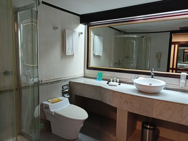 Crown, Executive, Double Bed، Hotel Sarina 8/10