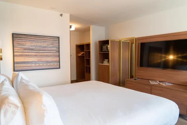 غرفة قياسية بسرير كينج، Hotel Indigo Detroit Downtown 4/10