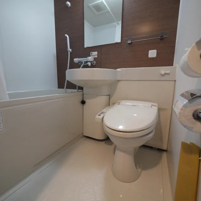 Small Double, Smoking, Hotel Route-Inn Kamisu 4/4