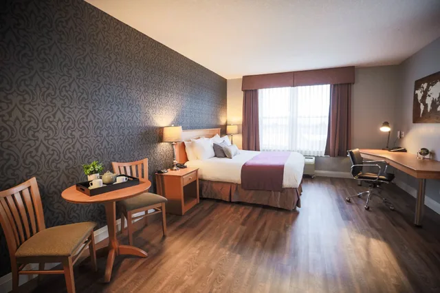 استوديو تنفيذي بسرير كينج، Cambridge Hotel Conference Centre 1/1