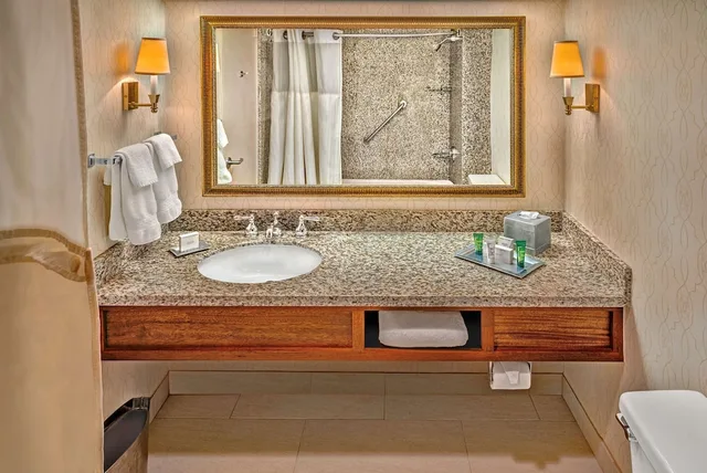 غرفة ديلوكس بسريرين مزدوجين في طابق مرتفع، Hilton Philadelphia Airport 7/8