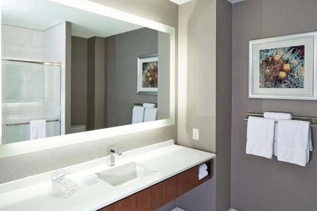 Hospitality, Suite, Queen Murphy Bed، Hilton Garden Inn Phoenix Downtown 2/2