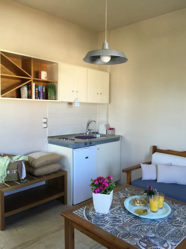 شقة بغرفة نوم واحدة، Evangelos Apartments 1/1