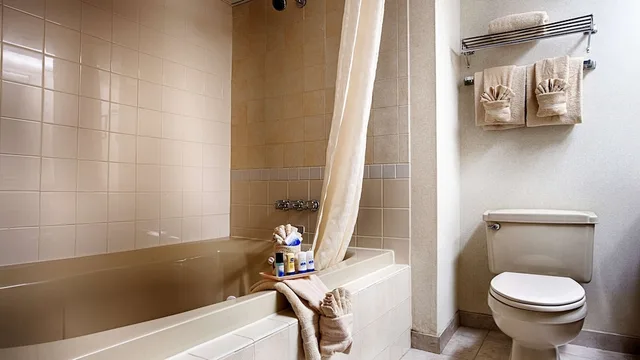 غرفة قياسية بسرير كينج، Best Western Clifton Park 4/5
