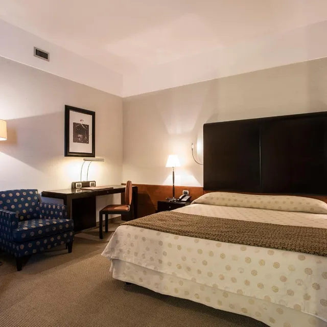 غرفة تنفيذية بسرير مزدوج، FlyOn Hotel and Conference Center 1/2