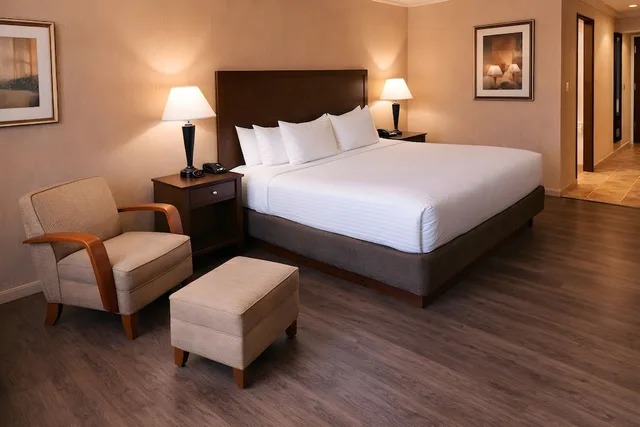 Standard, King Bed, Best Western Davison Inn 6/10