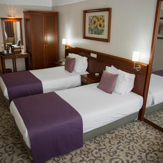 غرفة قياسية، Dila Hotel 7/10