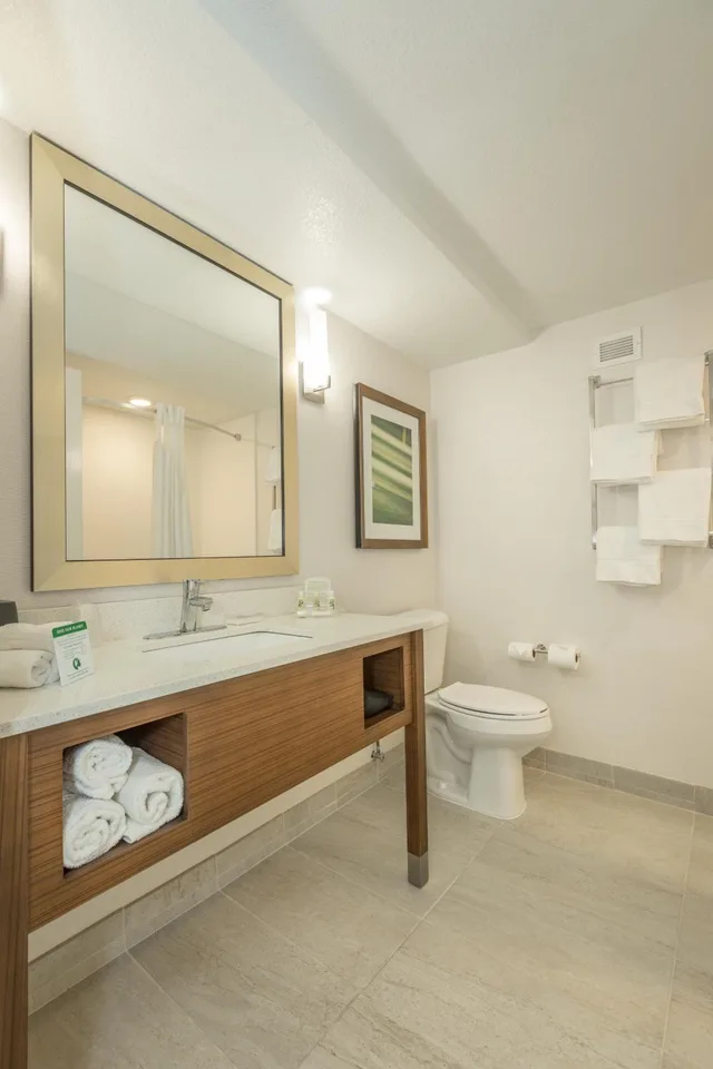 غرفة قياسية بسرير مزدوج، Holiday Inn Hotel Suites Peachtree City 5/6