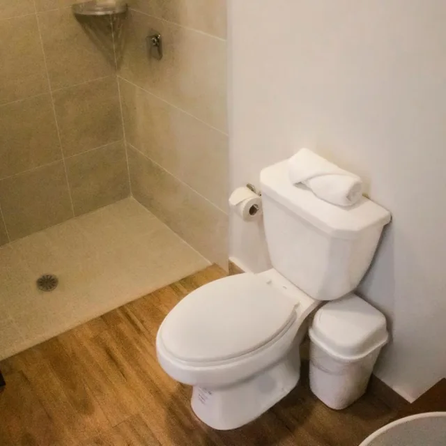 غرفة قياسية بسرير كينج، Del Paseo 10/10