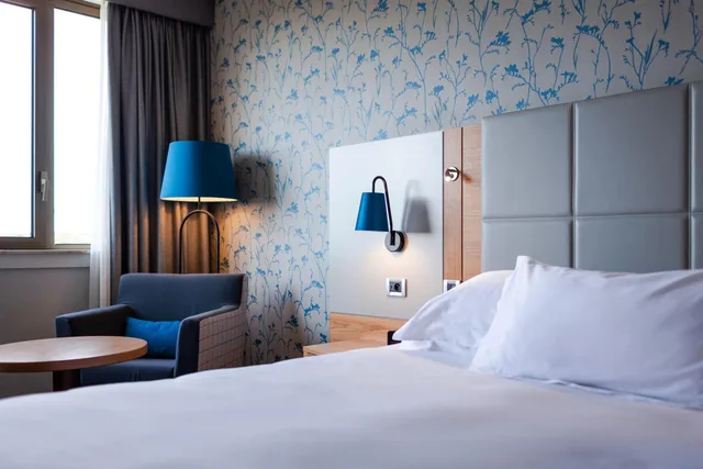 غرفة متصلة ديلوكس بسرير كينج وسرير فردي، Hilton Strasbourg Hotel 3/5