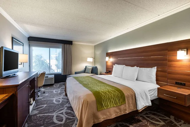 غرفة بسرير كينج بحوض استحمام لذوي الإعاقة، Comfort Inn Anaheim Resort 2/10