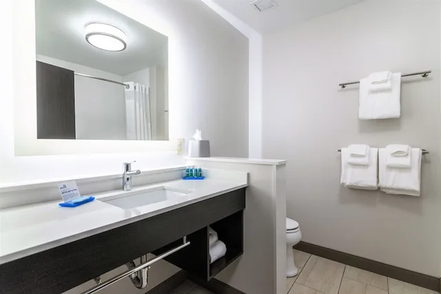 غرفة قياسية بسرير كينج مع أريكة، Holiday Inn Express Suites Allen Park 3/4