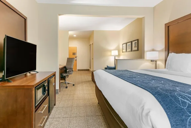 غرفة بسرير كينج لذوي الإعاقة، Comfort Suites Batesville, AR 1/3