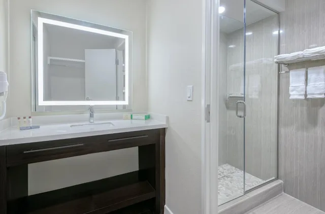 غرفة ديلوكس بسرير كينج لذوي الإعاقة، Hawthorn Suites By Wyndham Mcallen 3/4