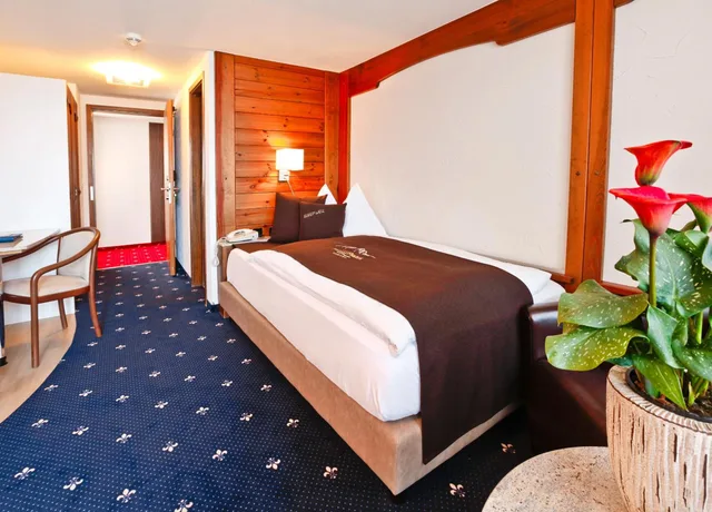 غرفة مفردة بإطلالة على البحيرة، Seehotel Pilatus 3/7