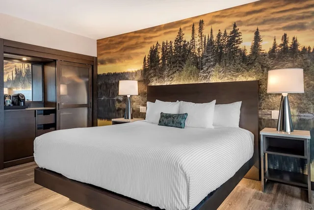 غرفة قياسية بسرير كينج، Cambria Hotel Shelby Township - Detroit Utica 2/3