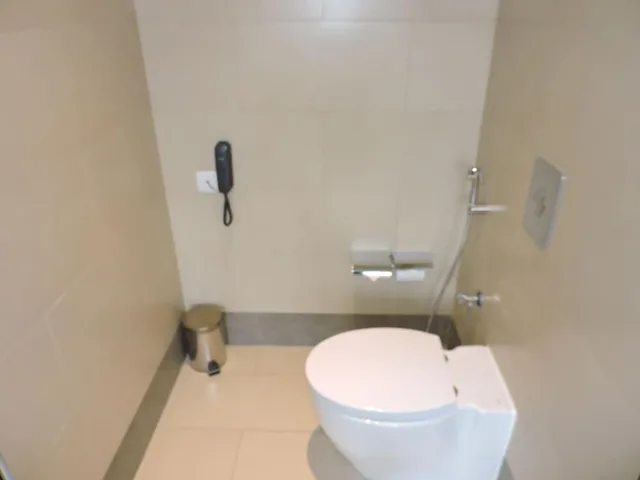 غرفة بريميوم بسرير كينج، Vivanta Colombo Airport Garden 5/6