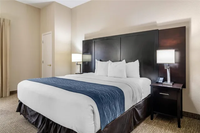 غرفة بسرير كينج، Comfort Inn & Suites Atlanta/Smyrna 1/1