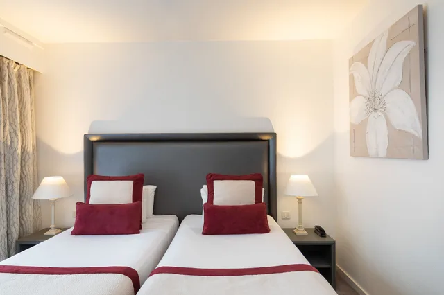 Standard, Twin Beds, City or Courtyard View، Hotel Charlemagne by Happyculture 2/10