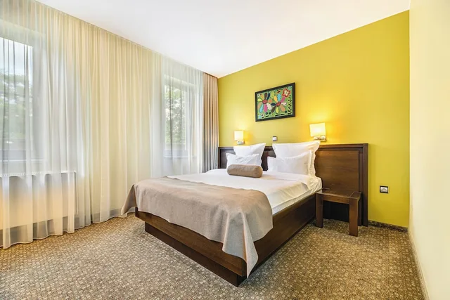 جناح بزنس بسرير كوين بإطلالة على النهر مع أريكة، Vega Hotel 1/9