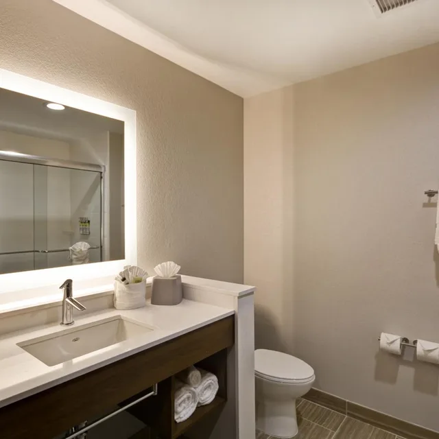 1 Bedroom, Suite, Accessible, Holiday Inn Express & Suites Houston NASA - Boardwalk Area 4/8