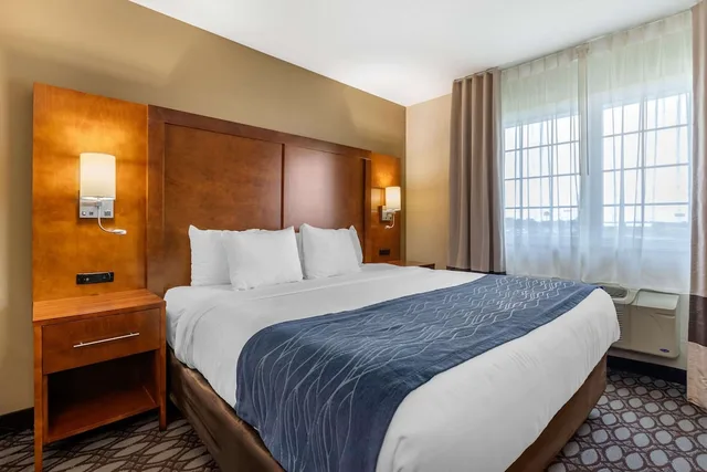 غرفة مفردة بسرير كينج مع أريكة، Comfort Inn Story City 4/6