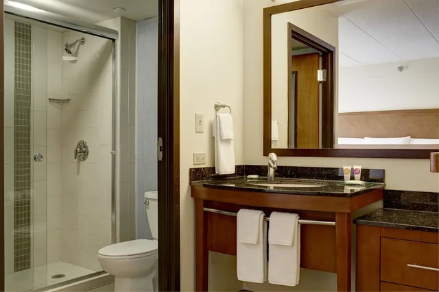 غرفة بسرير كينج، Hyatt Place Chicago/Hoffman Estates 3/3