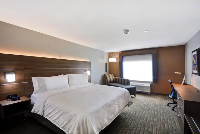 غرفة قياسية بسرير كينج، Holiday Inn Express & Suites Houston NASA - Boardwalk Area 3/7