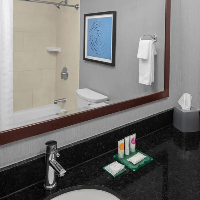 غرفة بسرير كينج مع أريكة لذوي الإعاقة، Hyatt Place Boston/Braintree 3/3