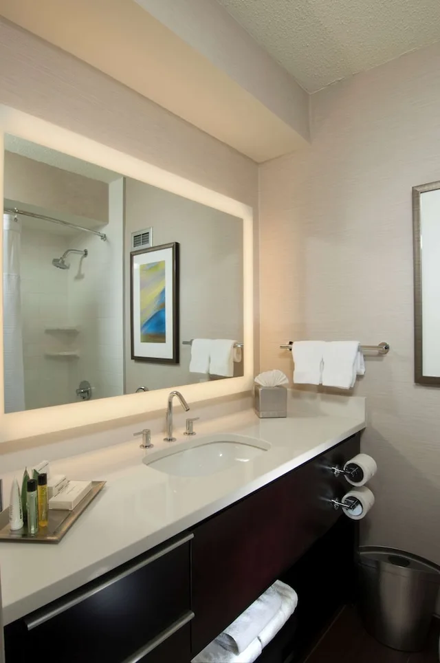 غرفة قياسية بسريرين مزدوجين، Hilton Albany 8/8