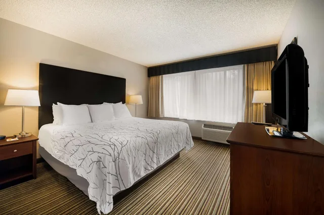 غرفة بسرير كينج مع أريكة، Best Western Park Oasis Inn 2/7
