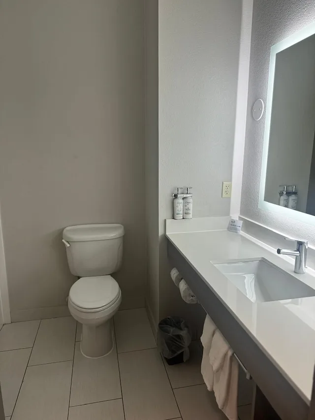 غرفة قياسية بسرير كينج لذوي الإعاقة، Holiday Inn Express Hotel & Suites Ripley 4/4