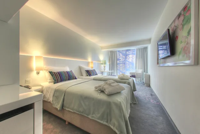 Room, Double or Twin Bed, Park or Courtyard View, French Balcony، Amadria Park Ivan 1/3