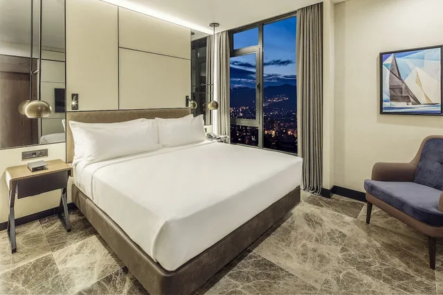 Presidential, Mountain, Suite, King Bed، DoubleTree by Hilton Kocaeli 1/3