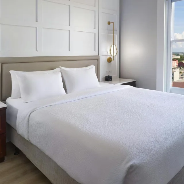 جناح كبير بسرير كينج بغرفة نوم واحدة مع أريكة، Courtyard By Marriott New Orleans French Quarter/Iberville 2/4